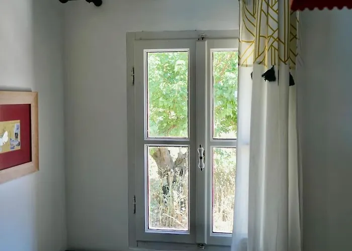 Apartment Follow Your Art